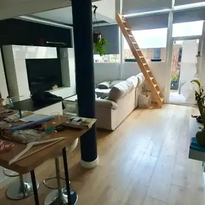 Oasis Mezquite
