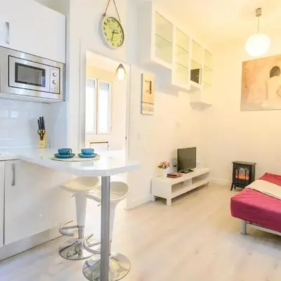 TEMPORAL apartment 1 bedroom flat a few metres from the city centre AMA2721