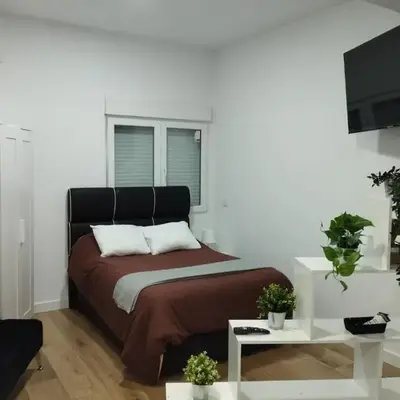 Apartamento tipo Loft HM Vista Alegre Madrid