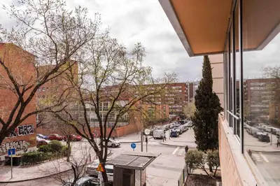 El barrio de los alrededores o un barrio cerca de este apartamento
