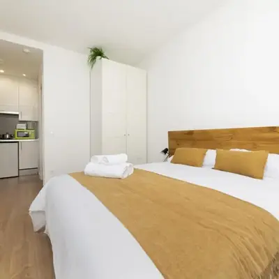 Luxury V - Ferga Suites