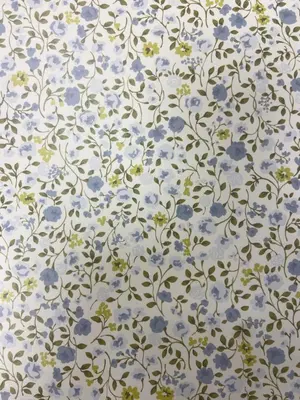 Plano de Girasol