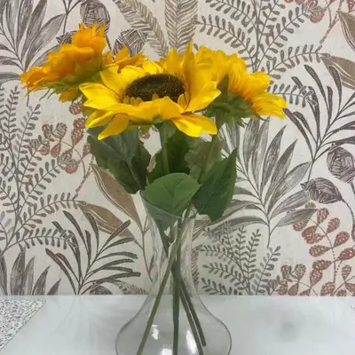 Girasol