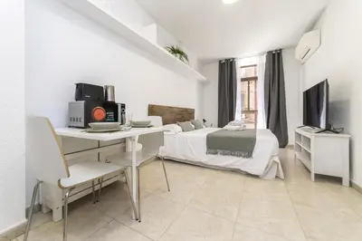 Una televisión o centro de entretenimiento en Classy IV - Ferga Suites