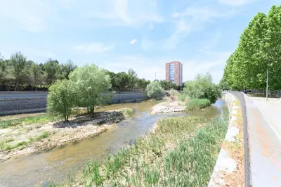 Vista de un río cerca de este apartamento