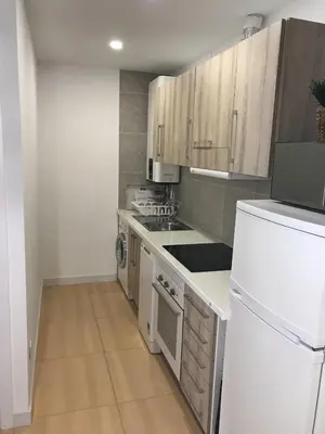 Una cocina o zona de cocina en PRECIOSO APARTAMENTO en el EL CENTRO DE MADRID