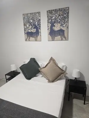 Cama o camas de una habitación en Cáceres habitaciones