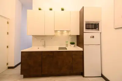 Una cocina o zona de cocina en Loft de 2 dormitorios en el centro de Madrid Temporal LDV330
