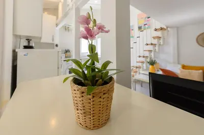 Plano de 1 bedroom loft apartment in the center Temporal SVI154