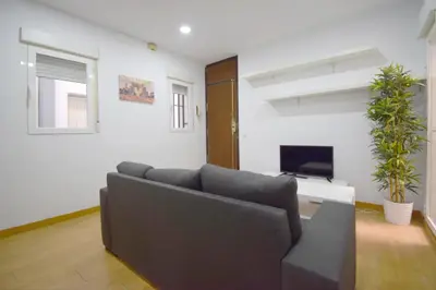 Una televisión o centro de entretenimiento en Apartamento en Fuente del Berro