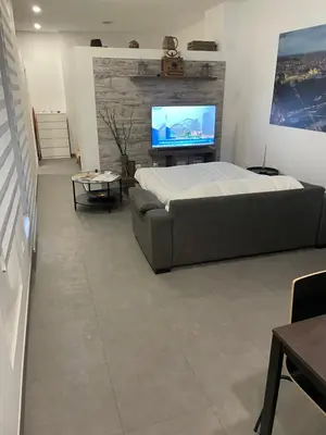 Una televisión o centro de entretenimiento en APARTAMENTo MODERNO CENTRO MADRID - ARGÜELLES-PLAZA ESPAÑA