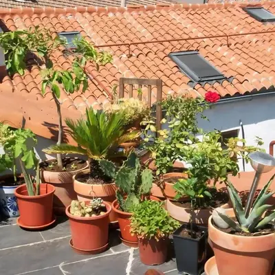 Lovely Loft Apartment Madrid Center