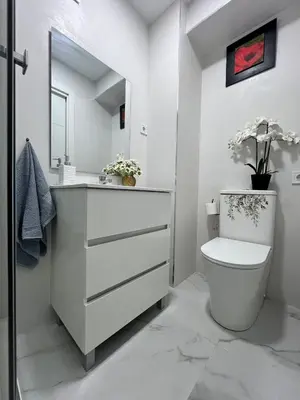 Un baño de Ventas 2, Apartamento con encanto