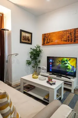 Una televisión o centro de entretenimiento en Puerta del Angel, reformado, acogedor, junto al río, 8 minutos al centro