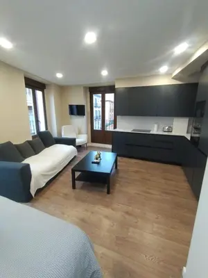 Zona de estar de Coqueto Apartamento Reformado en Pleno Centro