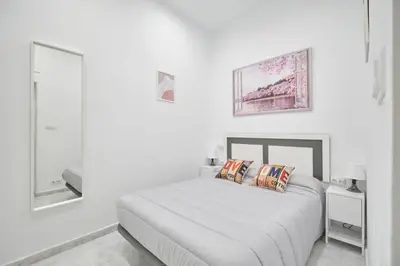Cama o camas de una habitación en Apartamento Madrid centro Lavapies