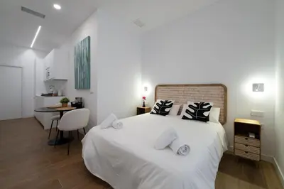 Cama o camas de una habitación en Magnífico apartamento en pleno centro de Madrid,