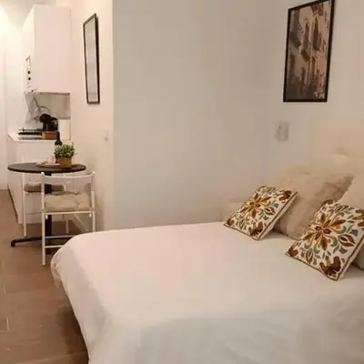 Magnífico apartamento en pleno centro de Madrid