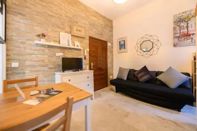 Una televisión o centro de entretenimiento en SEL60I Piso con terraza y 1 dormitorio en Madrid - Alquiler temporal
