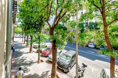 El barrio de los alrededores o un barrio cerca de este apartamento