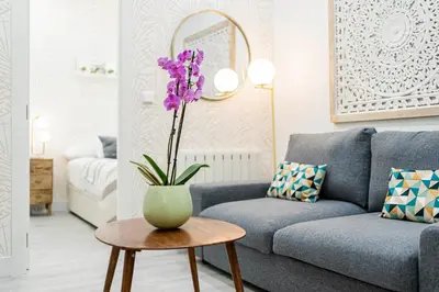 Zona de estar de For You Rentals Glorieta de Bilbao apartment TEMPORAL EGU42