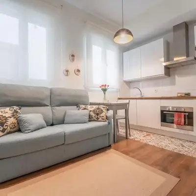 Modern comfortable -1 Bedroom 1Bath-Malasaña