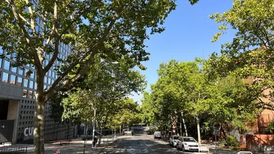 El barrio de los alrededores o un barrio cerca de este apartamento
