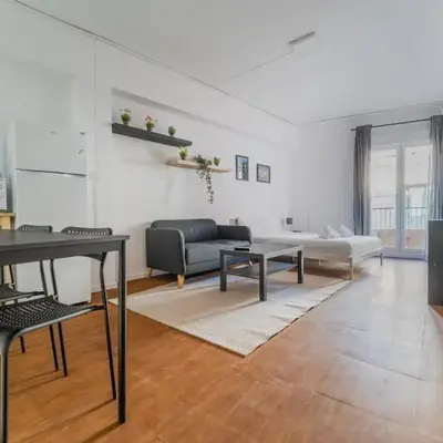 Comfortable central studio - Malasaña
