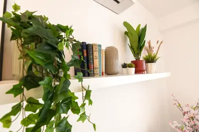 Biblioteca en el apartamento
