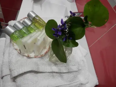 Plano de Hostal del Pez Azul
