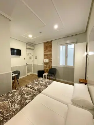 Una televisión o centro de entretenimiento en Hostal Madrid