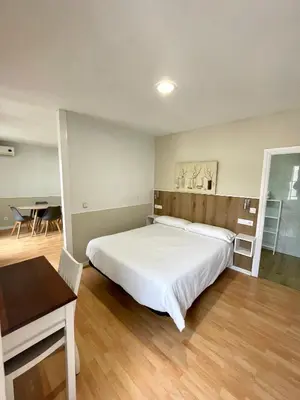 Cama o camas de una habitación en Apartamentos Mayor Centro