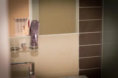 Un baño de Hostal Palacio Madrid