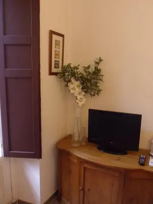 Una televisión o centro de entretenimiento en Apavonia Apartamento Madrid Centro Calle Toledo