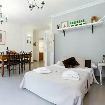 Apavonia Apartamento Madrid Centro Calle Toledo
