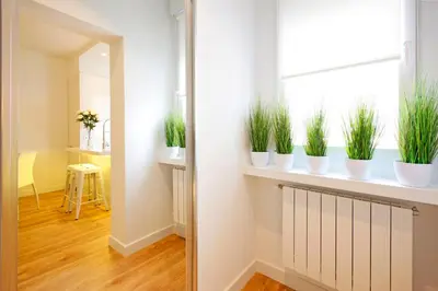 Plano de Opera Suites