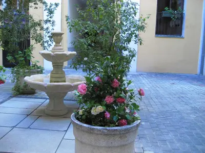 Jardín al aire libre en Hostal Huespedes Toledo
