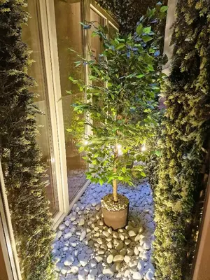 Jardín al aire libre en Hostal Comercial