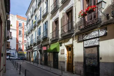 El barrio de los alrededores o un barrio cerca de este apartamento