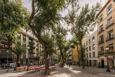 El barrio de los alrededores o un barrio cerca de este apartamento