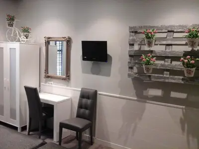 Una televisión o centro de entretenimiento en Hostal Don Alfonso