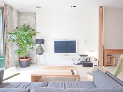 Una televisión o centro de entretenimiento en Gran apartamento de diseño @plazasanmiguel *lujo*