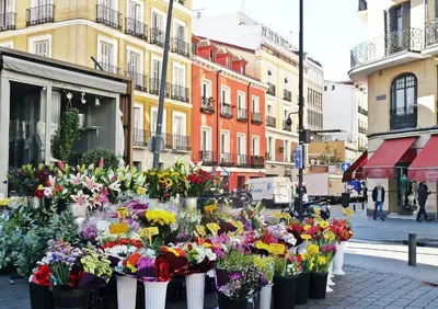 El barrio de los alrededores o un barrio cerca de este hostal o pensión