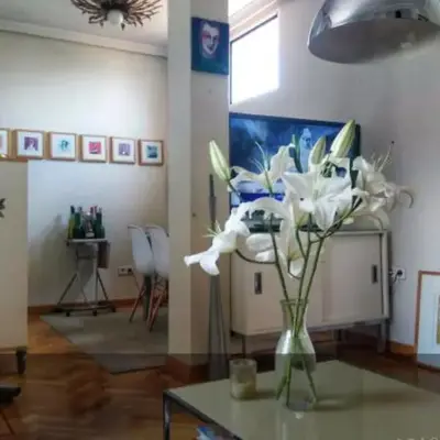 Habitacion Privada Paseo Del Arte