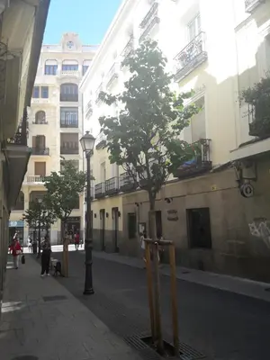El barrio de los alrededores o un barrio cerca de este hostal o pensión
