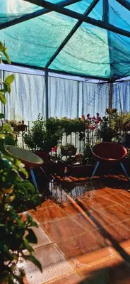 Jardín al aire libre en Casa de Huespedes Dolce Vita