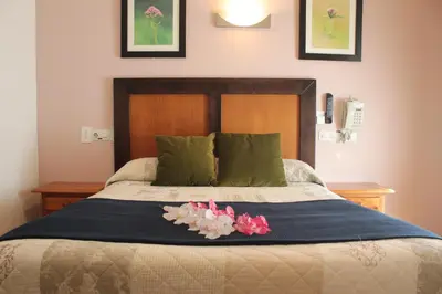 Cama o camas de una habitación en Hostal Greco Gran Vía Madrid
