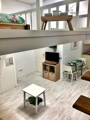 Una televisión o centro de entretenimiento en Los Flamencos, Malasaña Loft Madrid 45mq