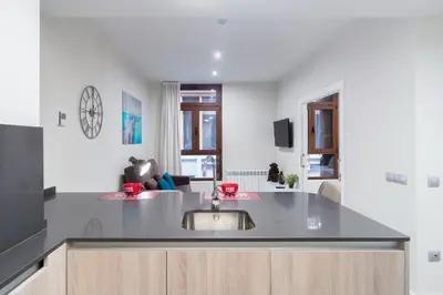 Una televisión o centro de entretenimiento en Apartamentos Cava Baja
