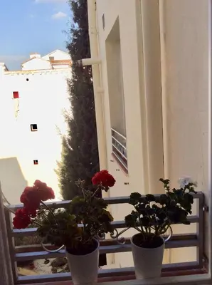 Un balcón o terraza de Hostal Palacio Luna